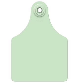 ALLFLEX® GLOBAL MAXI FEMALE CATTLE EAR TAG GREEN BLANK 25/PKG