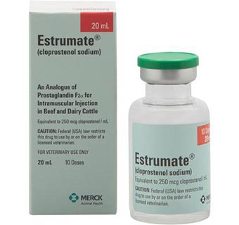 ESTRUMATE® 20 ML (10 DOSES) (RX)