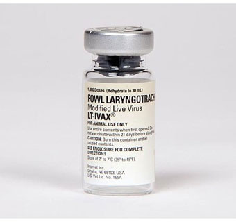 LT-IVAX® FOWL LARYNGOTRACHEITIS VACCINE 1000 DS