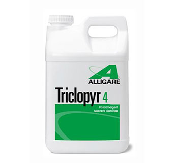 TRICLOPYR 4 EC - GALLON