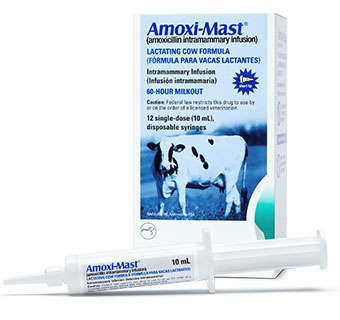 AMOXI-MAST® 10 ML 12/PKG (RX)