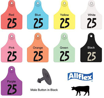 GLOBAL LARGE FEMALE NUMBERED EAR TAG - GREEN - DIGITS 1-25