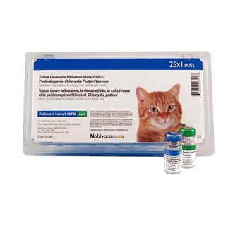 Feline Vaccines
