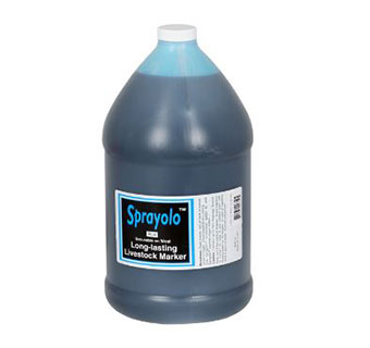 SPRAYOLO™ LIVESTOCK MARKER PAINT - BLUE - GALLON - EACH