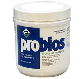 PROBIOS® BOLUSES 1/4 OZ 50/BOX