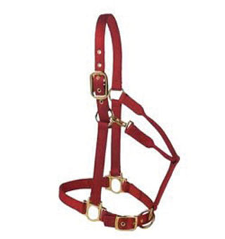 2-30 BACS 3-PLY NYLON COLT HALTER WITH ADJ CHIN/SNAP BRASS HARDWARE RED