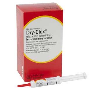 DRY CLOX® MASTITIS TUBE (RX) 10ML X 12 COUNT