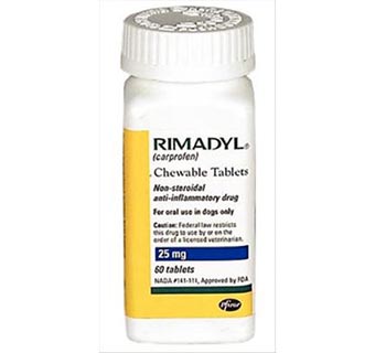 RIMADYL® CHEWABLE TABLETS 25MG 60/BOTTLE (RX)
