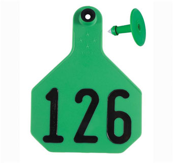 ALL-AMERICAN® 2-PIECE 4-STAR COMBO TAG HS L 126-150 GREEN 25/PKG