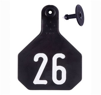 ALL-AMERICAN® 2-PIECE 4-STAR COMBO TAG HS L 26-50 BLACK 25/PKG