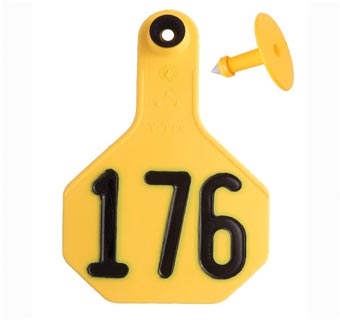 ALL-AMERICAN® 2-PIECE 3-STAR COMBO TAG MED 176-200 YELLOW 25/PKG