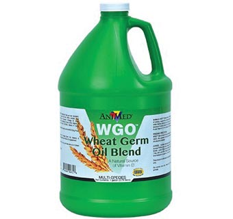 WGO™ FORTIFIED WHEAT GERM OIL BLEND 1 GAL