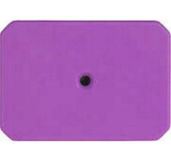 SWINESTAR® 2-PIECE BLANK EAR TAGS PURPLE 25/PKG