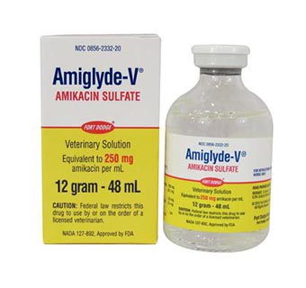 AMIGLYDE-V® 250 MG/ML 48 ML (RX)