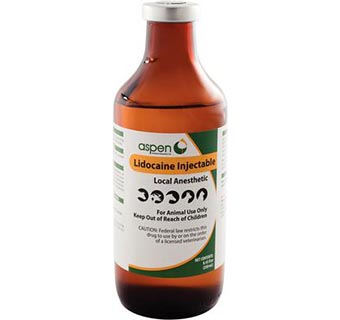 LIDOCAINE HCL 2% INJECTION 250 ML (RX)