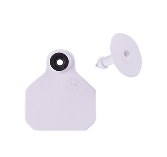 ALL-AMERICAN® 2-PIECE 1-STAR COMBO BLANK TAG MINI WHITE 25/PKG