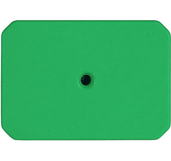 SWINESTAR® 2-PIECE BLANK EAR TAGS GREEN 25/PKG