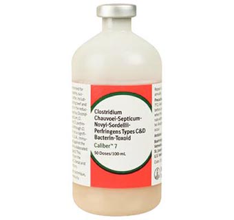 CALIBER® 7 500 ML (250 DOSES)