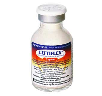 CEFTIFLEX (CEFTIFUR SODIUM STERILE POWDER) 1 GM 20 ML RX