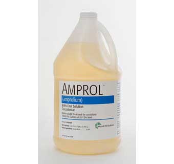 AMPROL® 9.6% (AMPROLIUM)ORAL SOLUTION COCCIDIOSTAT 1 GALLON