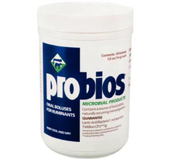 PROBIOS® BOLUSES 1/2 OZ 50/BOX