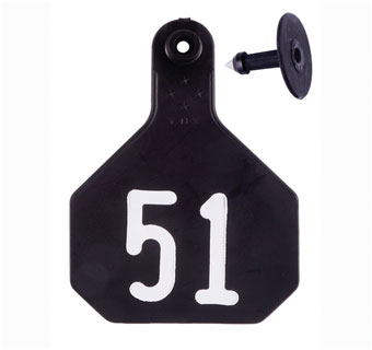 ALL-AMERICAN® 2-PIECE 4-STAR COMBO TAG HS L 51-75 BLACK 25/PKG