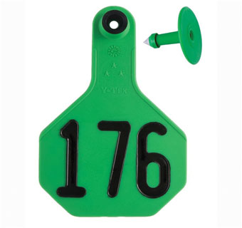 ALL-AMERICAN® 2-PIECE 3-STAR COMBO TAG MED 176-200 GREEN 25/PKG
