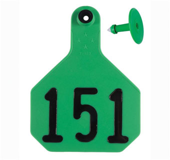 ALL-AMERICAN® 2-PIECE 4-STAR COMBO TAG HS L 151-175 GREEN 25/PKG