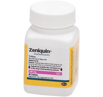 ZENIQUIN® 100 MG 50/BOTTLE (RX)