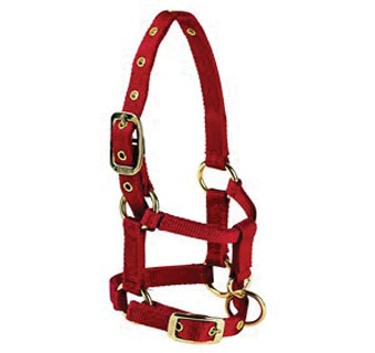 LH LLAMA HALTER WITH ADJUSTABLE CHIN AND EXTRA HOLE BLACK