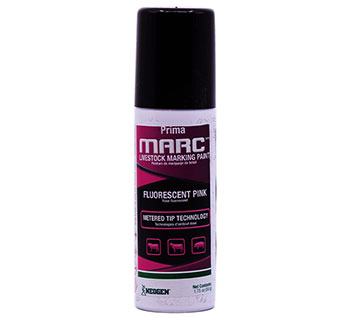IDEAL® PRIMA MARC™ METERED TIP PAINT FLUORESCENT PINK 1.75 OZ 1/PKG