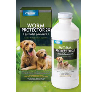 WORM PROTECTOR® 2X FOR DOGS - 2 X 8OZ