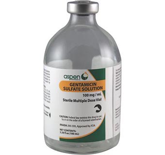 GENTAMICIN SULFATE SOLUTION 100 ML (RX)