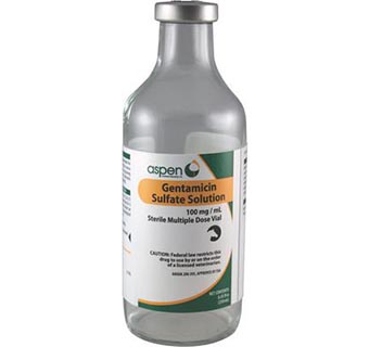 GENTAMICIN SULFATE SOLUTION 250 ML (RX)