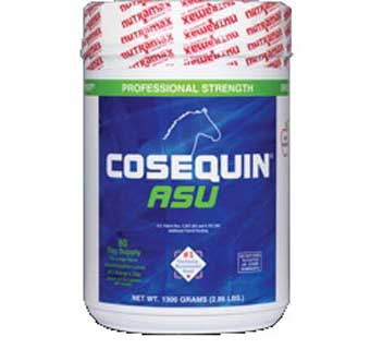 COSEQUIN ASU EQUINE POWDER 1300 GM