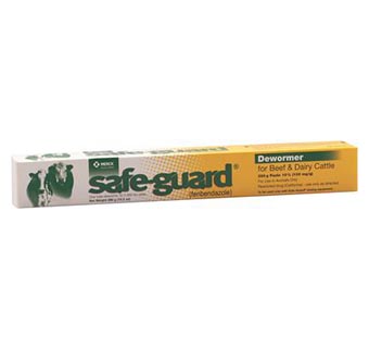SAFE-GUARD® PASTE 10% 290 G - EACH