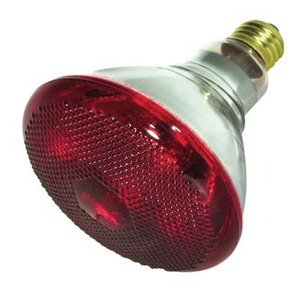 REFLECTOR INCANDESCENT HEAT LAMP RED HARD GLASS BR38 175 W