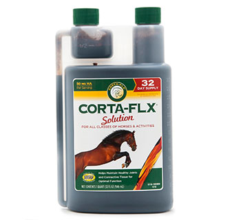 CORTA-FLX® SOLUTION EQUINE 32 OZ 1/PKG