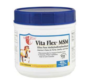 VITA FLEX MSM 1 LB CANISTER