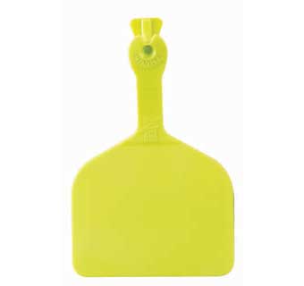 ONE-PIECE FEEDLOT EAR TAGS BLANK CHARTREUSE EACH
