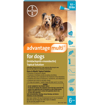 ADVANTAGE MULTI® FOR DOGS 9.1-20 LB # TEAL 6 PACK (AGENCY)