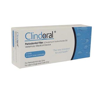 CLINDORAL® PERIDONTAL FILLER KIT 0.5 ML 4/PKG