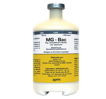 MG- BAC EMULSION VACCINE 500 ML 1000 DS