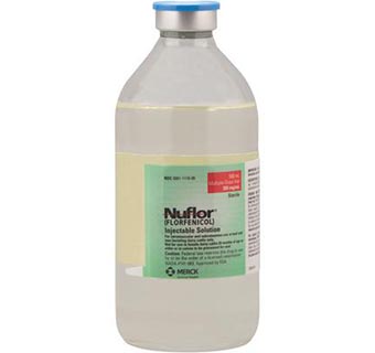 NUFLOR® INJECTABLE 300MG/500 ML (RX)