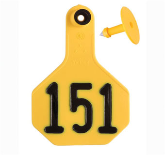 ALL-AMERICAN® 2-PIECE 3-STAR COMBO TAG MED 151-175 YELLOW 25/PKG