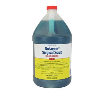 NOLVASAN® SURGICAL SCRUB GALLON