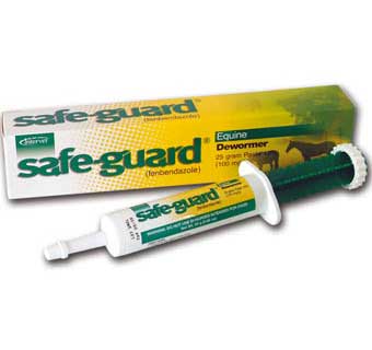 SAFE-GUARD® PASTE 10% 25 GM 36 COUNT