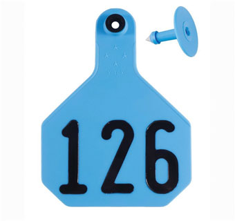 ALL-AMERICAN® 2-PIECE 4-STAR COMBO TAG HS L 126-150 BLUE 25/PKG