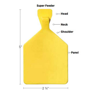 TEMPLE TAG® SUPER BLANK FEEDER TAG PURPLE 1/PKG