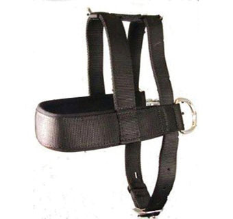 754 PULLING HARNESS WITH NEOPRENE CHEST STRAP NYLON BLACK 1 IN X 26 - 38 IN